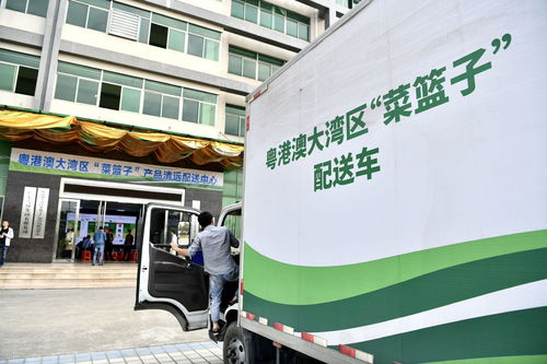 8月第一周，清远城市配送关键词聚焦“菜篮子”保障力